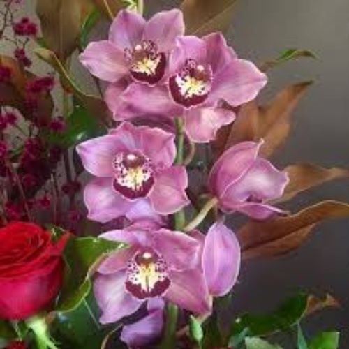 Amaranthine Flowers by Design logo