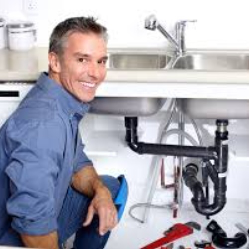 Excelsior Plumbing Services logo