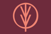 Vivo Chiropractic logo