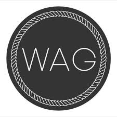 Watersedge Accounting Group logo