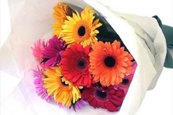 Wilsons Civic Florist logo