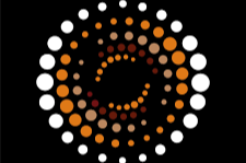 Chiropractic Life Muswellbrook logo